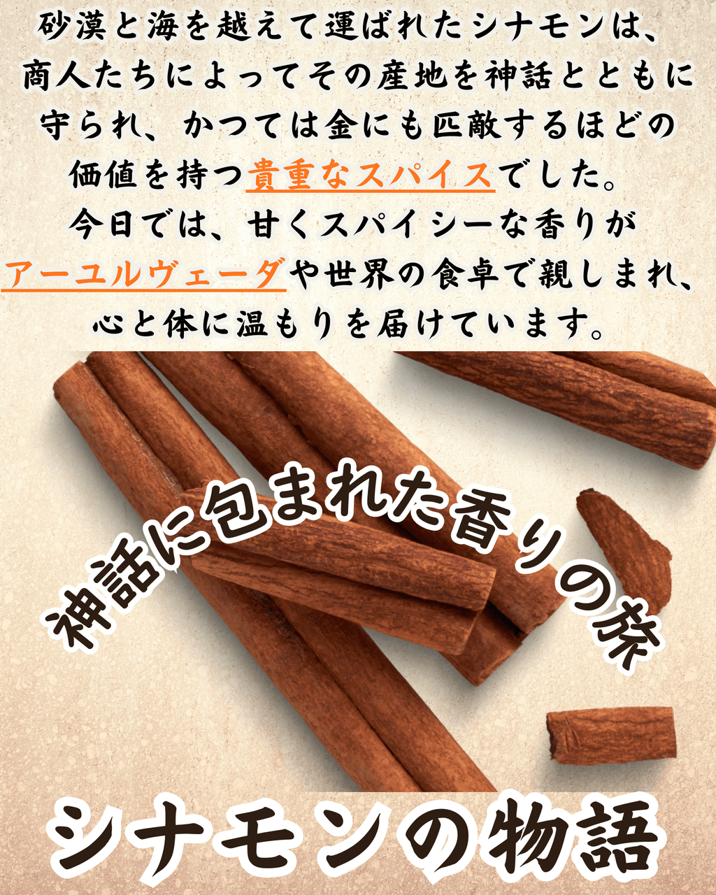 シナモンパウダー 100g