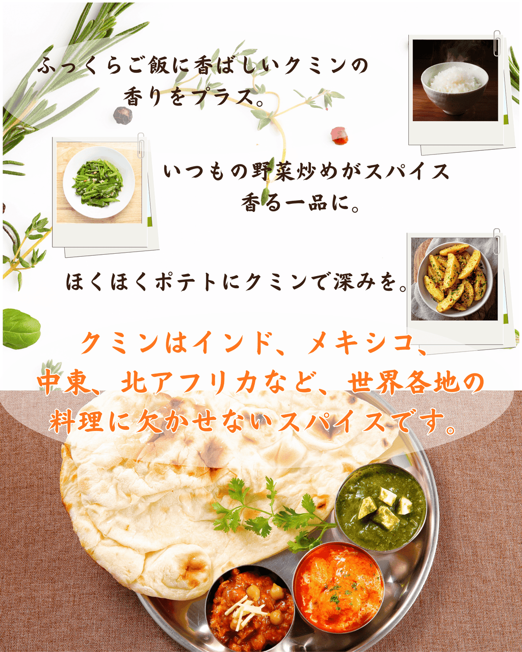 クミンホール 50g