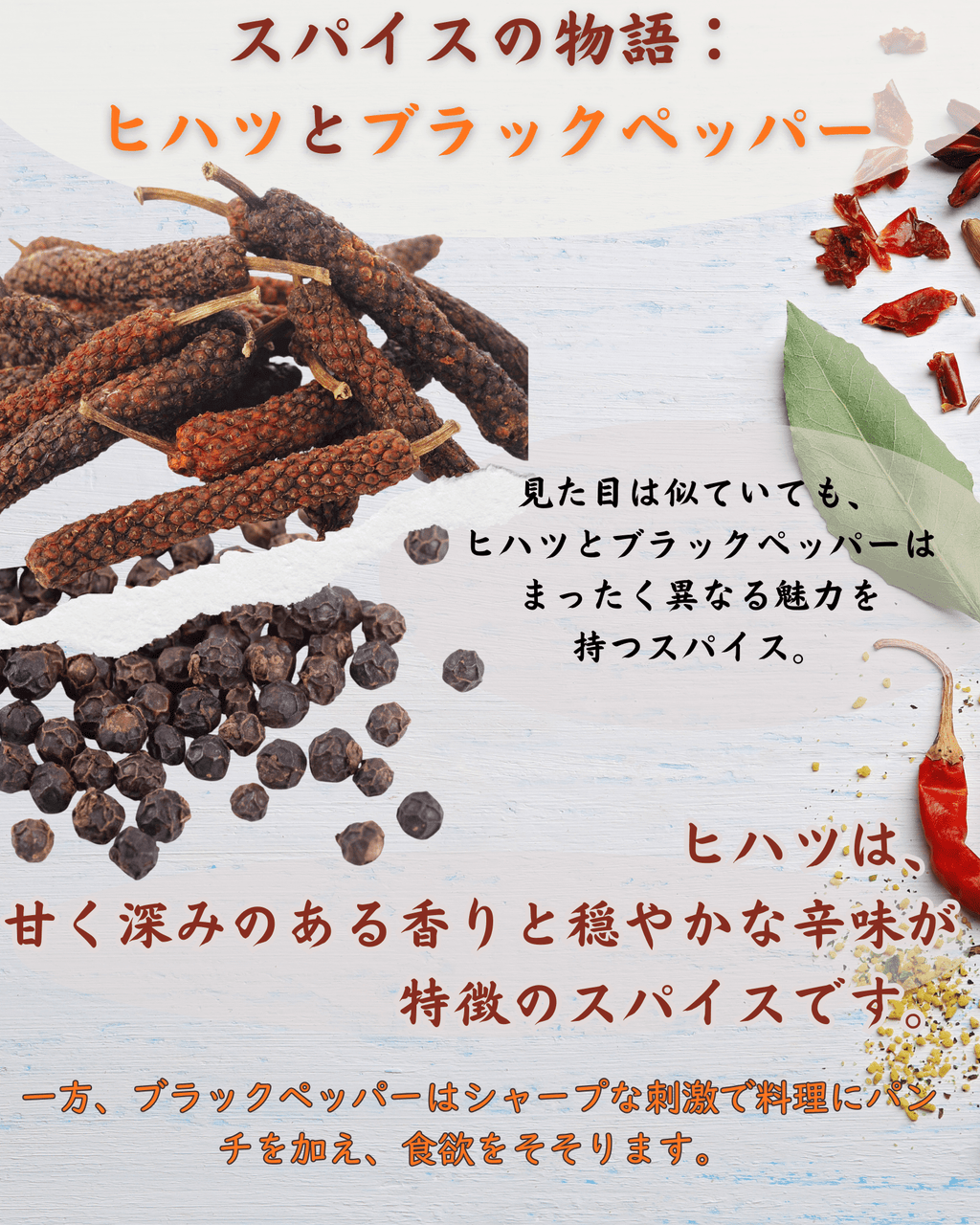 ヒハツパウダー 100g