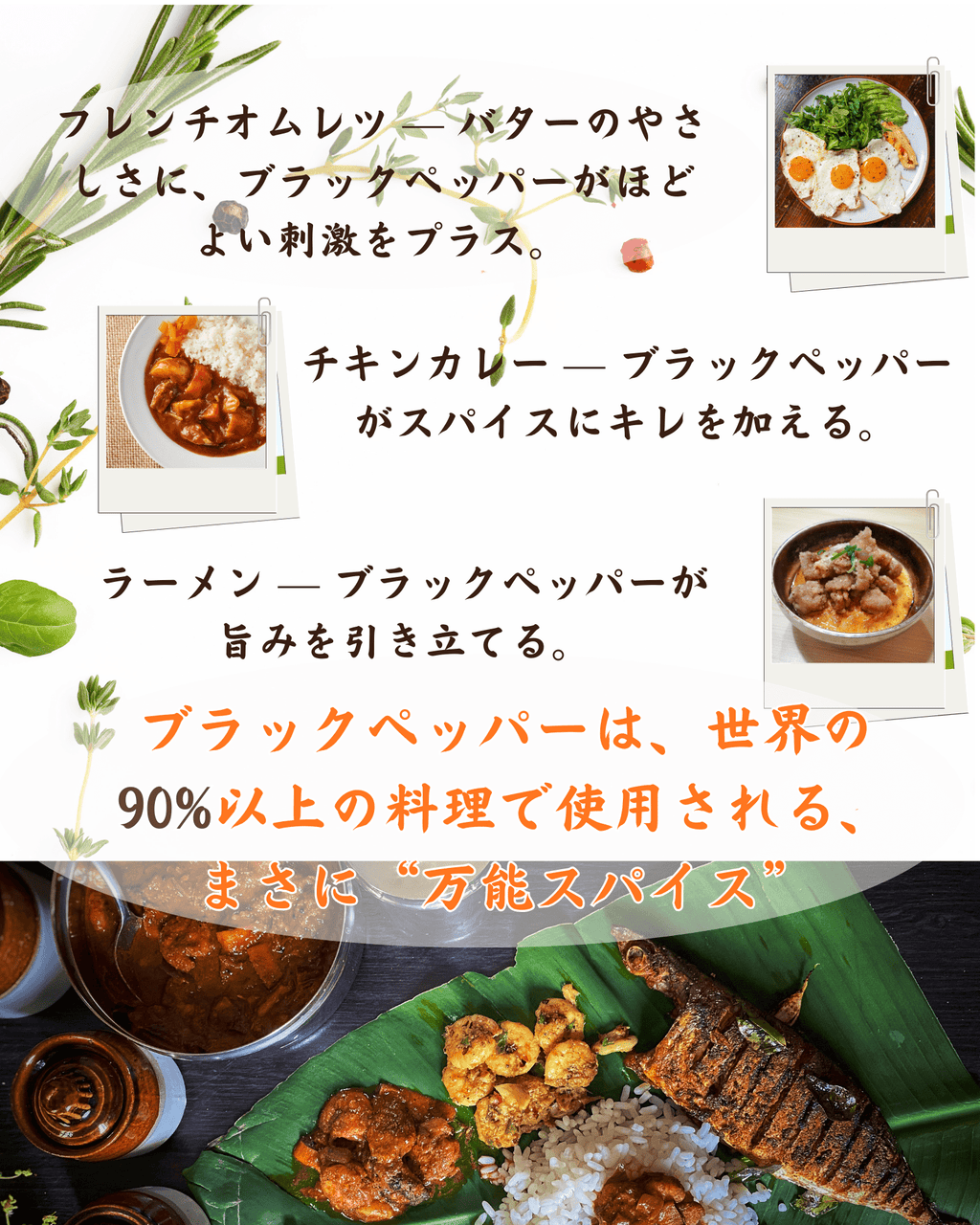 ブラックペッパーパウダー100g