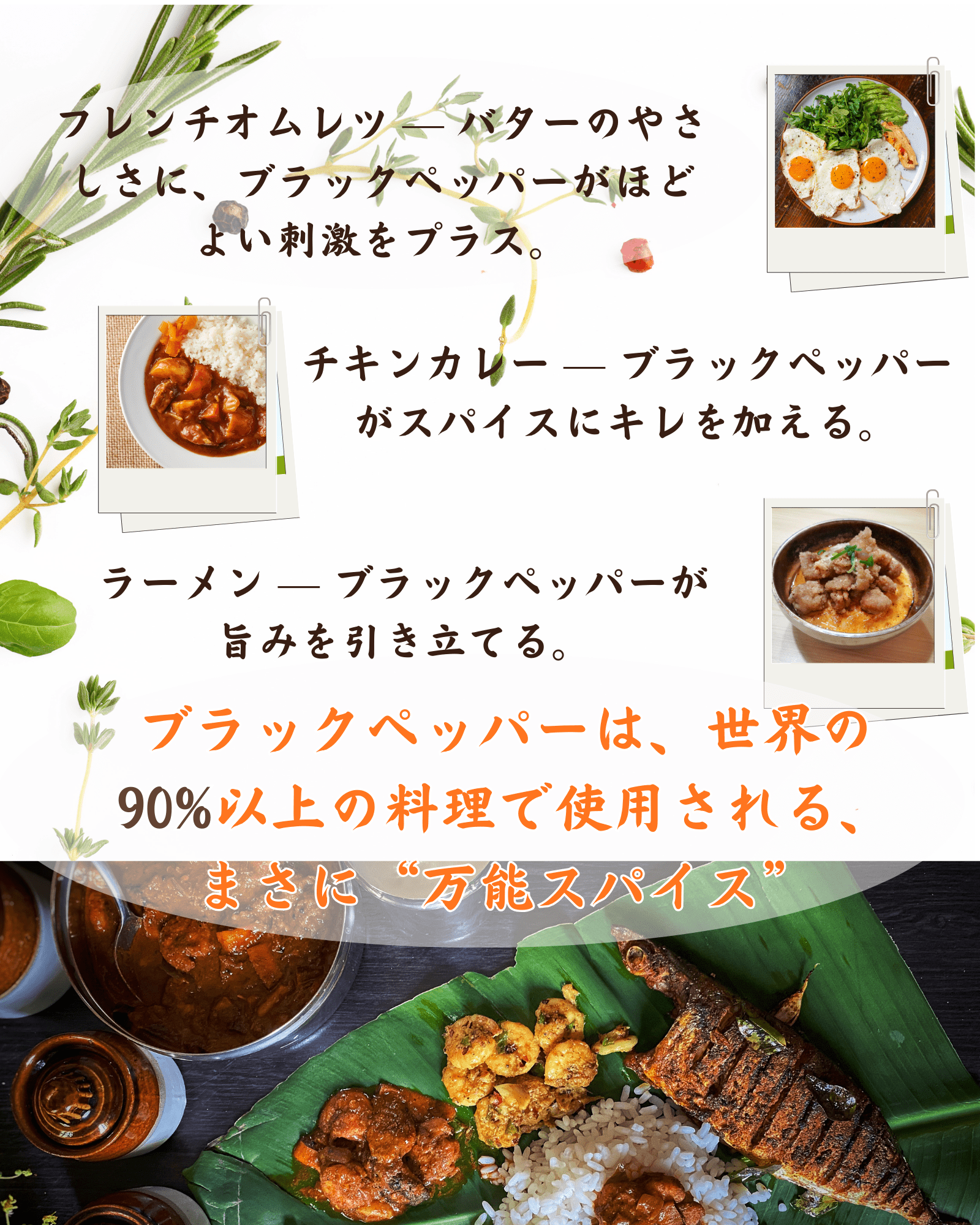 ブラックペッパーパウダー100g