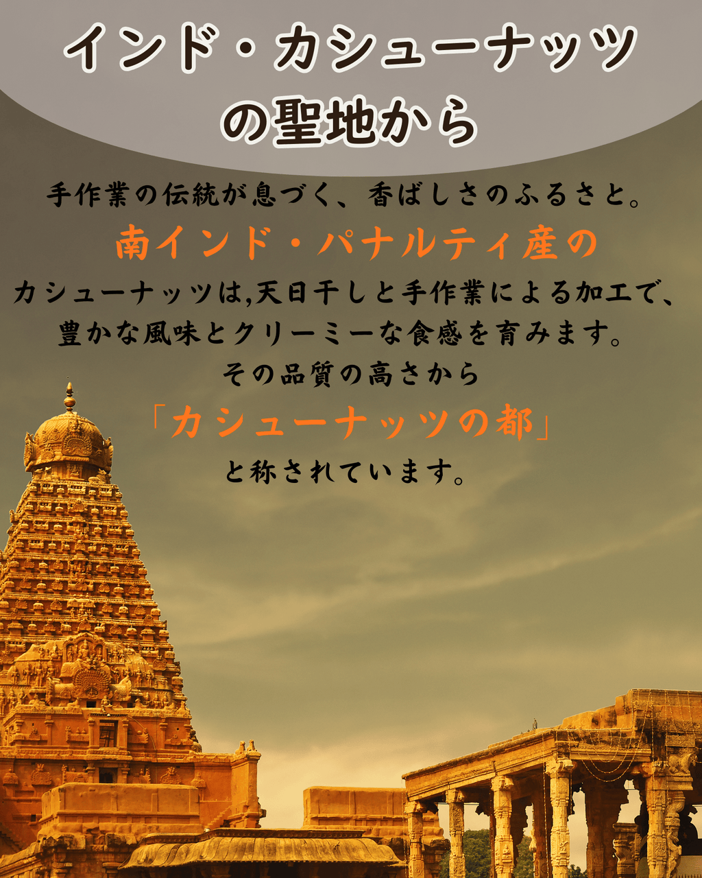 カルダモンパウダー100g