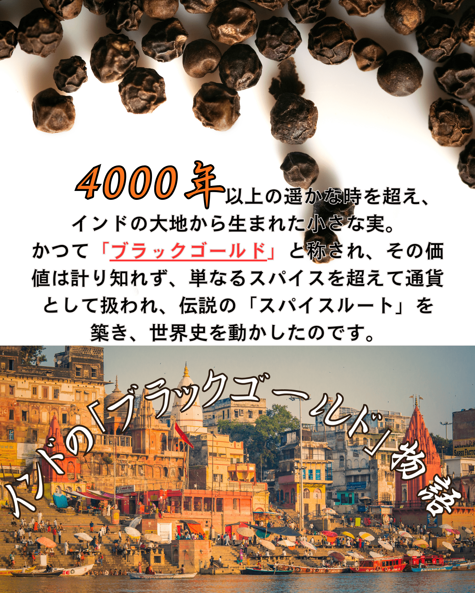 ブラックペッパーホール（50g）