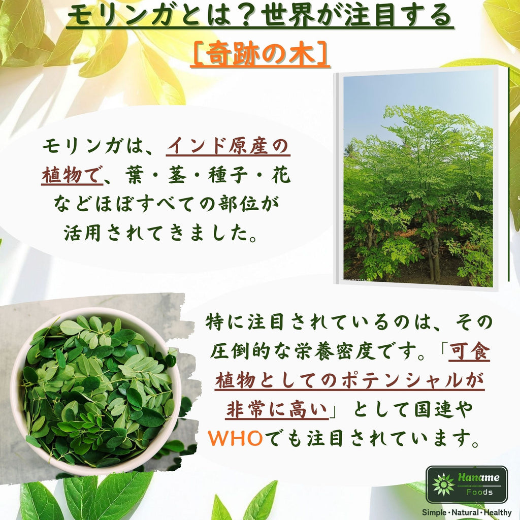 ナチュラルモリンガパウダー100g