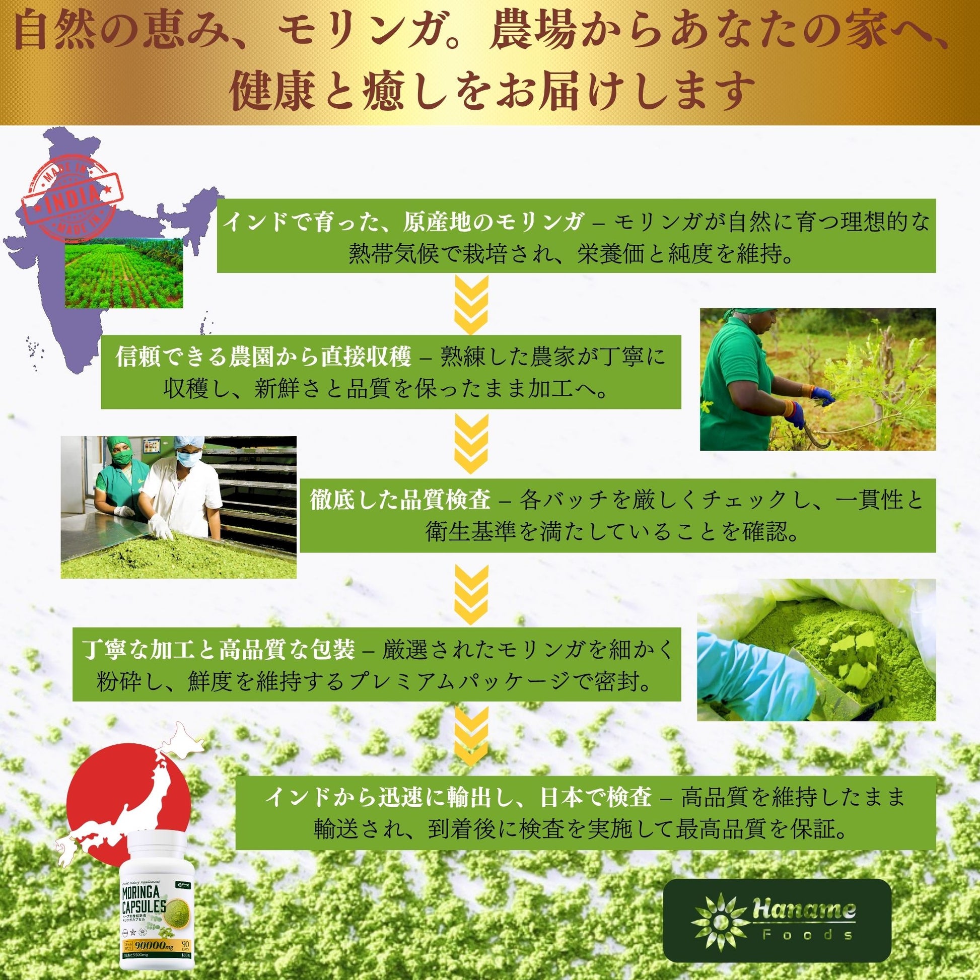 モリンガカプセル180粒(90日分)/240(120日分)｜96000mg/72000mg配合｜1粒あたり400mg｜無添加｜保存料・農薬不使用｜サプリメント｜自然栽培 ｜ 健康維持｜栄養補給サプリメント｜カプセル｜スーパーフード｜食物繊維｜植物来由サプリ