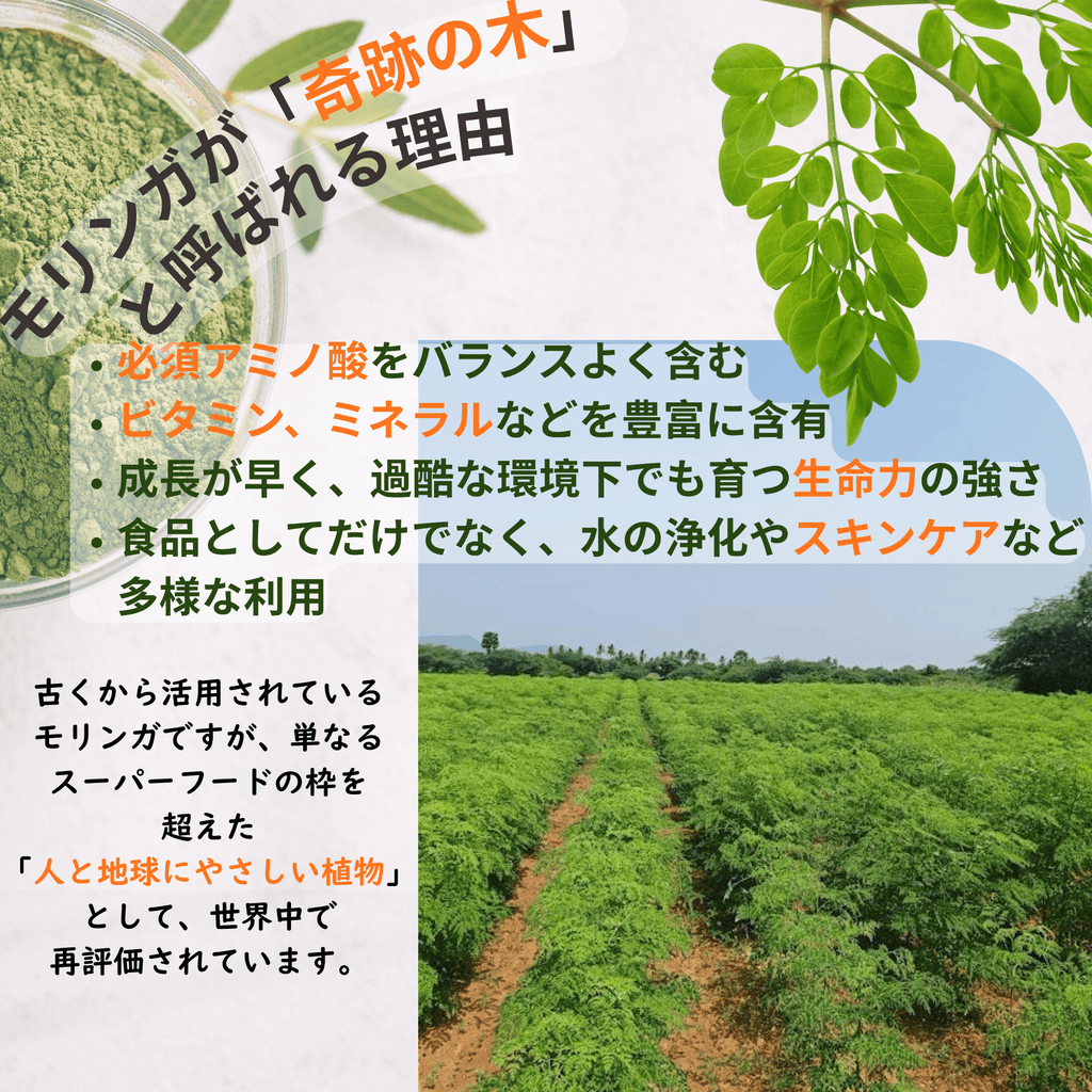 モリンガタブレット180粒