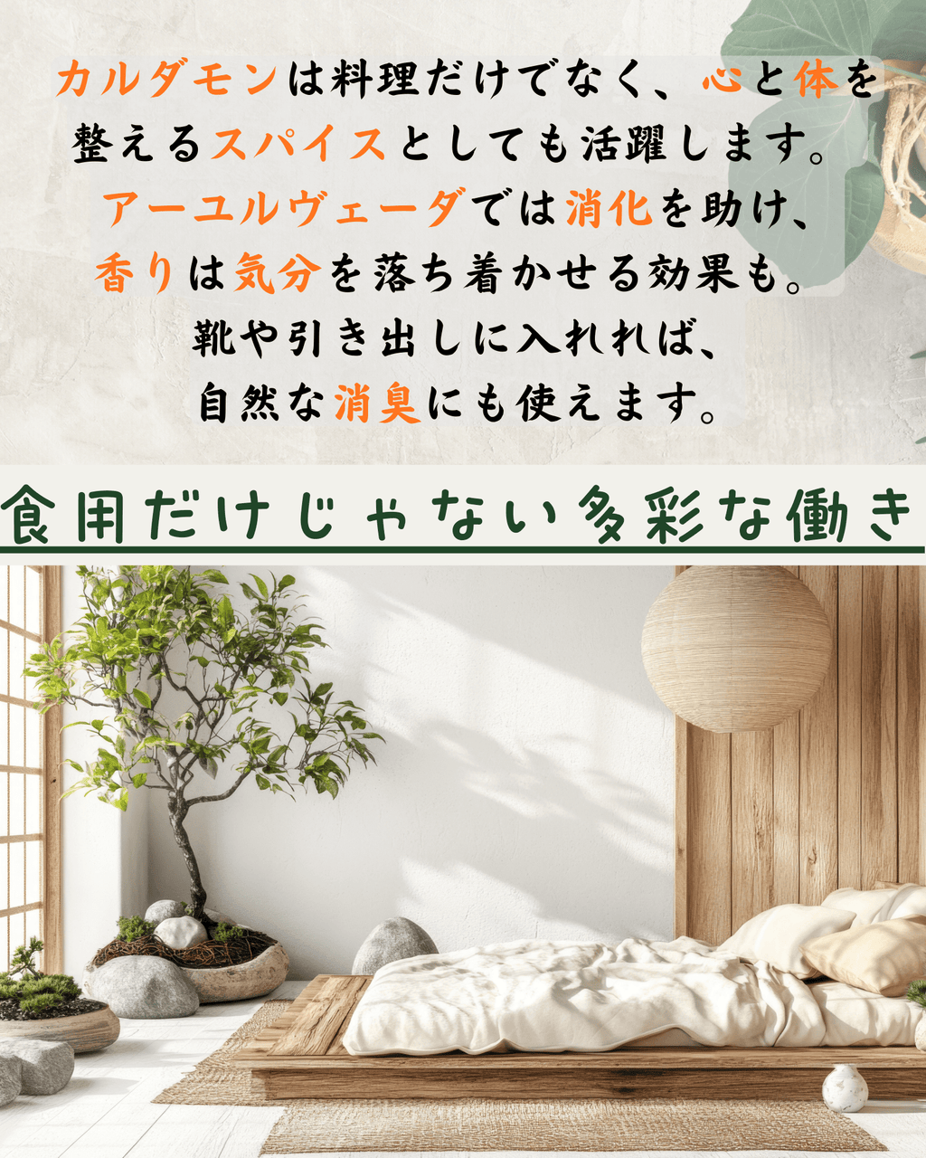 カルダモンホール（50g）