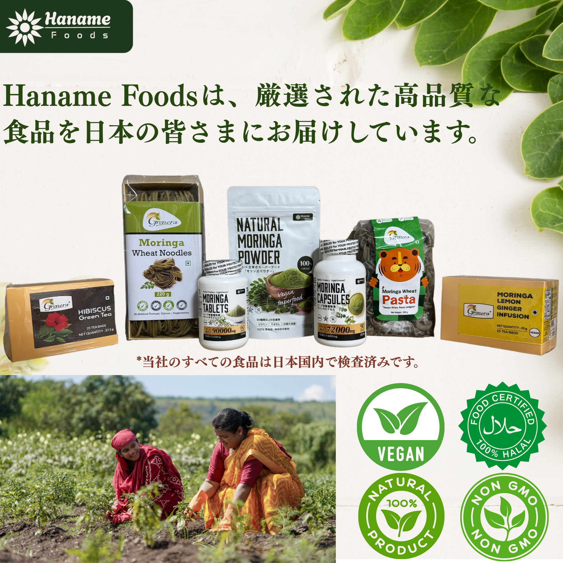 ナチュラルモリンガパウダー100gm | スーパーフード | 健康 | 奇跡の木 | 無添加・無農薬