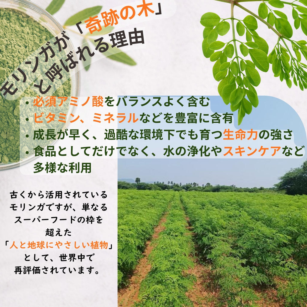 モリンガカプセル240粒