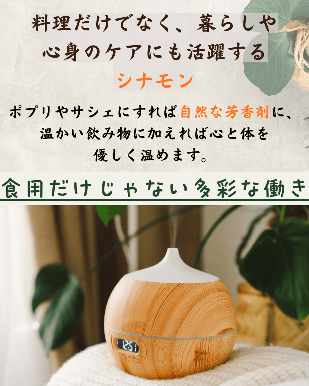 シナモンスティック 50g