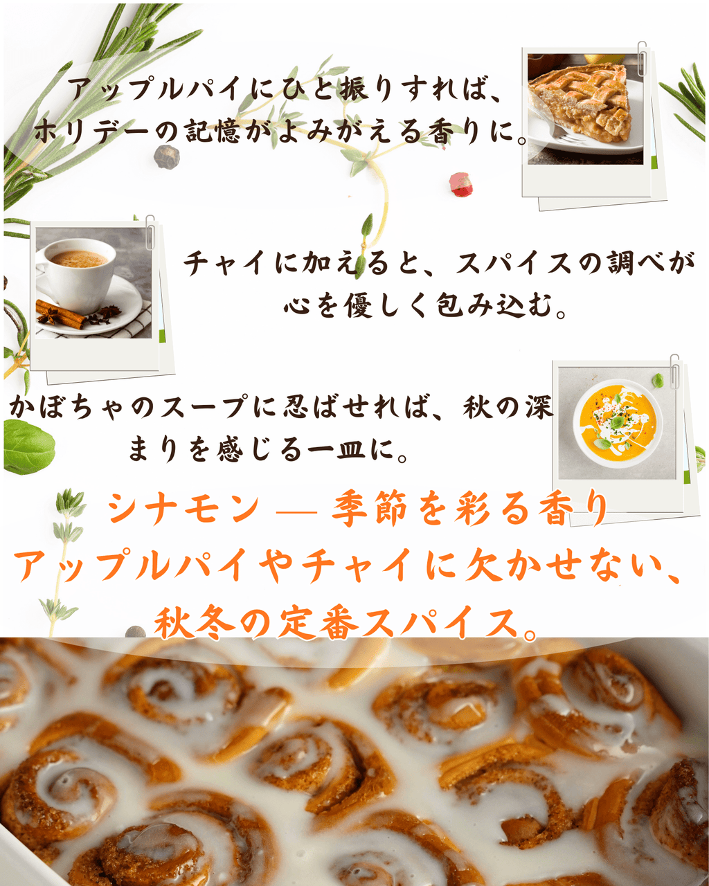 シナモンスティック 50g