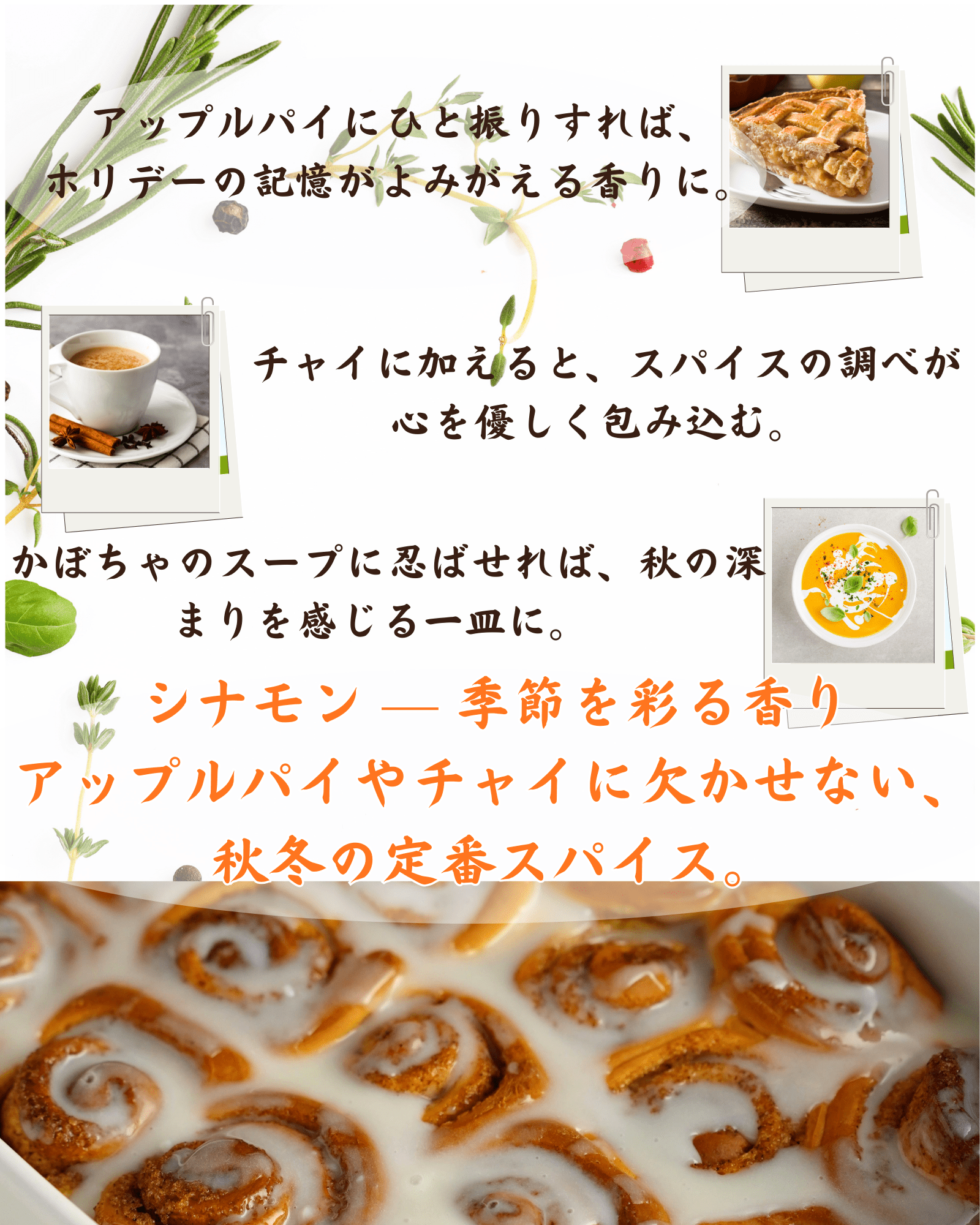 シナモンパウダー 100g