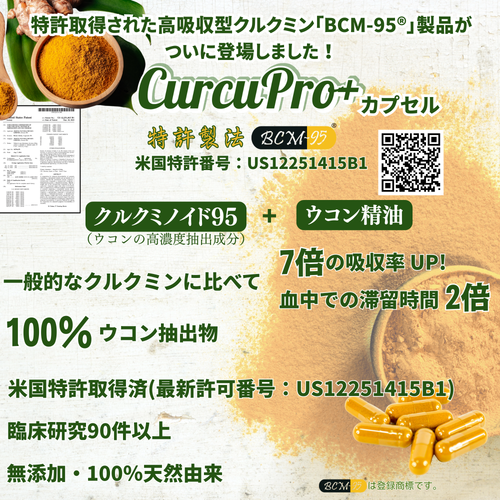 CurcuPro+カプセル 60粒（1ヶ月分）｜高吸収型クルクミン「BCM-95®」｜総クルクミノイド複合体 95％以上｜7倍（700%）の吸収率｜血中の滞留時間は約2倍の原料｜米国特許取得済｜総量30,000mg配合｜500mg×60粒｜30日分｜無添加｜GRAS、HALAL、KOSHER認証｜GMP認定工場製造