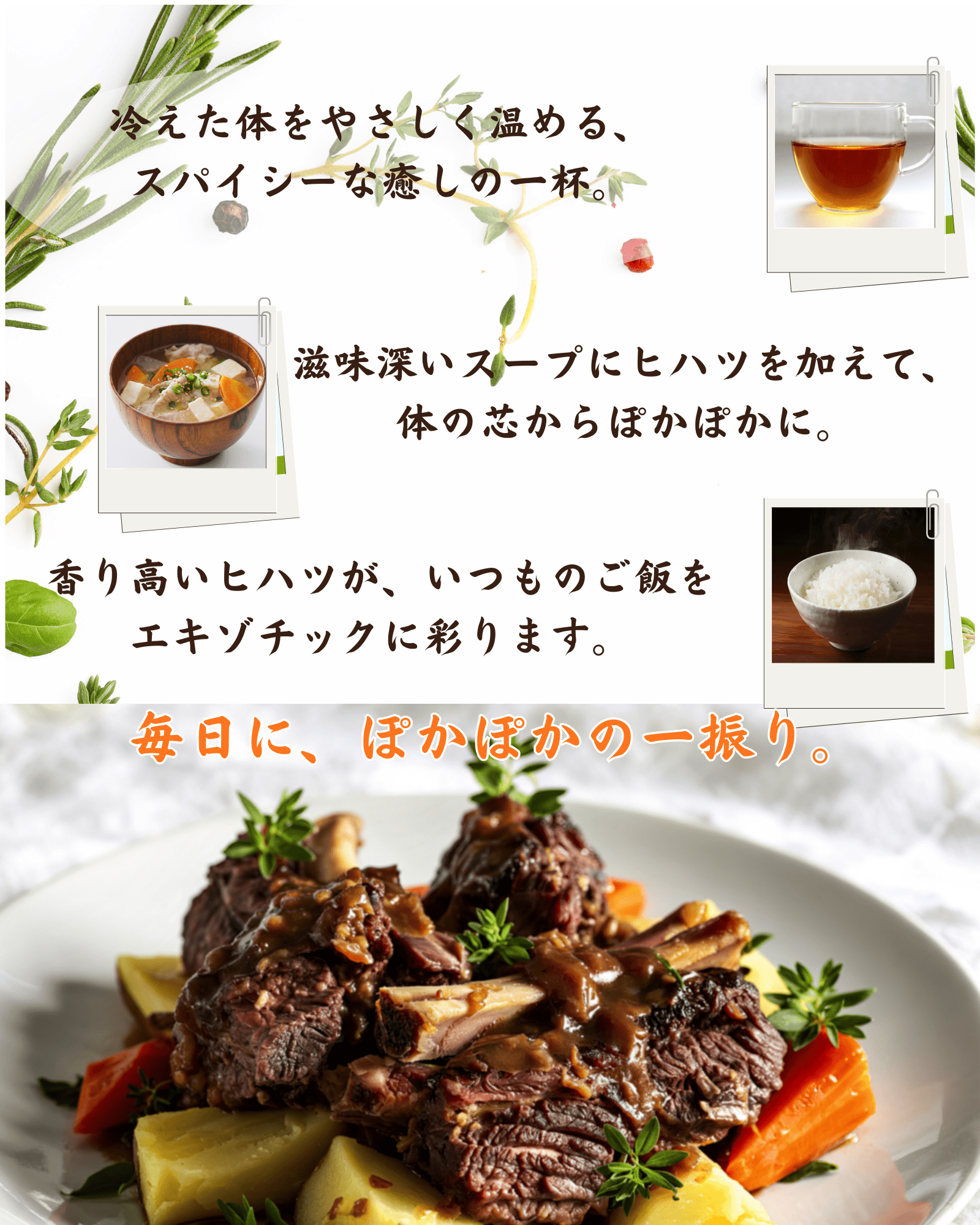 ヒハツパウダー 100g