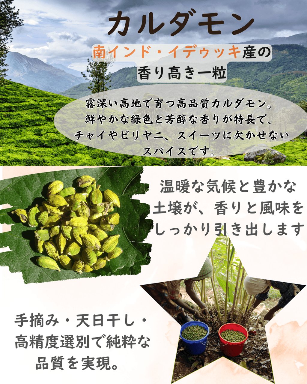 カルダモンパウダー100g