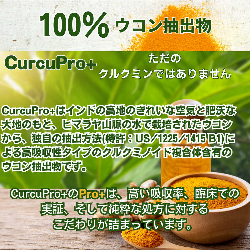 CurcuPro+カプセル 60粒（1ヶ月分）｜高吸収型クルクミン「BCM-95®」｜総クルクミノイド複合体 95％以上｜7倍（700%）の吸収率｜血中の滞留時間は約2倍の原料｜米国特許取得済｜総量30,000mg配合｜500mg×60粒｜30日分｜無添加｜GRAS、HALAL、KOSHER認証｜GMP認定工場製造