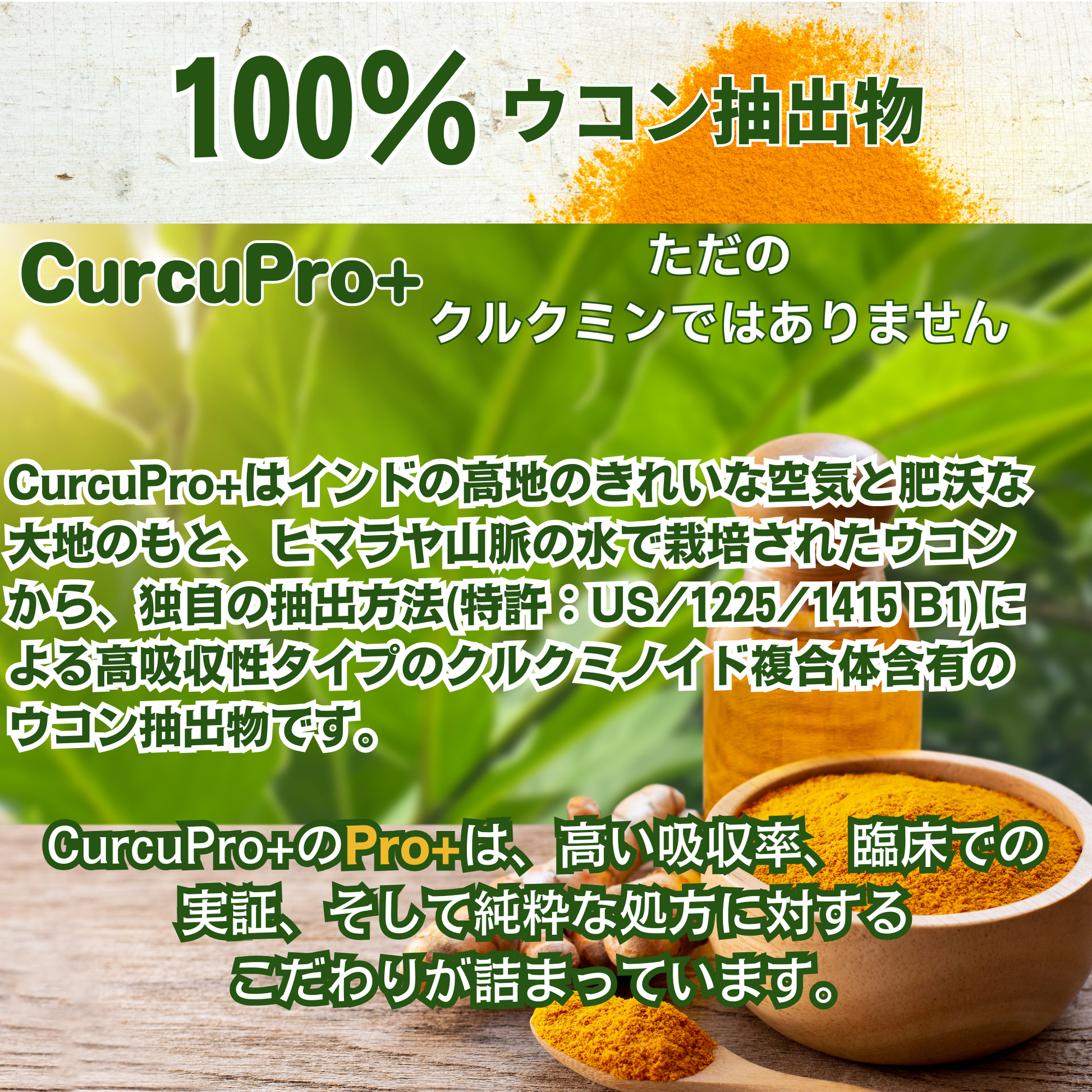 CurcuPro+カプセル 60粒（1ヶ月分）｜高吸収型クルクミン「BCM-95®」｜総クルクミノイド複合体 95％以上｜7倍（700%）の吸収率｜血中の滞留時間は約2倍の原料｜米国特許取得済｜総量30,000mg配合｜500mg×60粒｜30日分｜無添加｜GRAS、HALAL、KOSHER認証｜GMP認定工場製造
