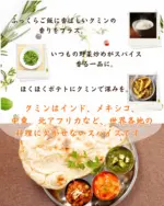 クミンシード （50g） - 画像 (8)