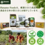 モリンガ小麦ヌードル（220g） - 画像 (3)