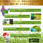 モリンガタブレット180粒 - 画像 (10)