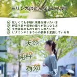 ナチュラルモリンガパウダー100g - 画像 (6)