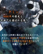 クミンシード （50g） - 画像 (7)