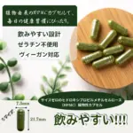 モリンガカプセル180粒 - 画像 (4)