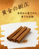 シナモンパウダー(カシア) 100g - 画像 (5)