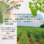 モリンガカプセル240粒 - 画像 (6)