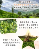 ヒハツパウダー 100g - 画像 (2)